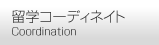 留学コーディネイト