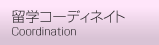 留学コーディネイト
